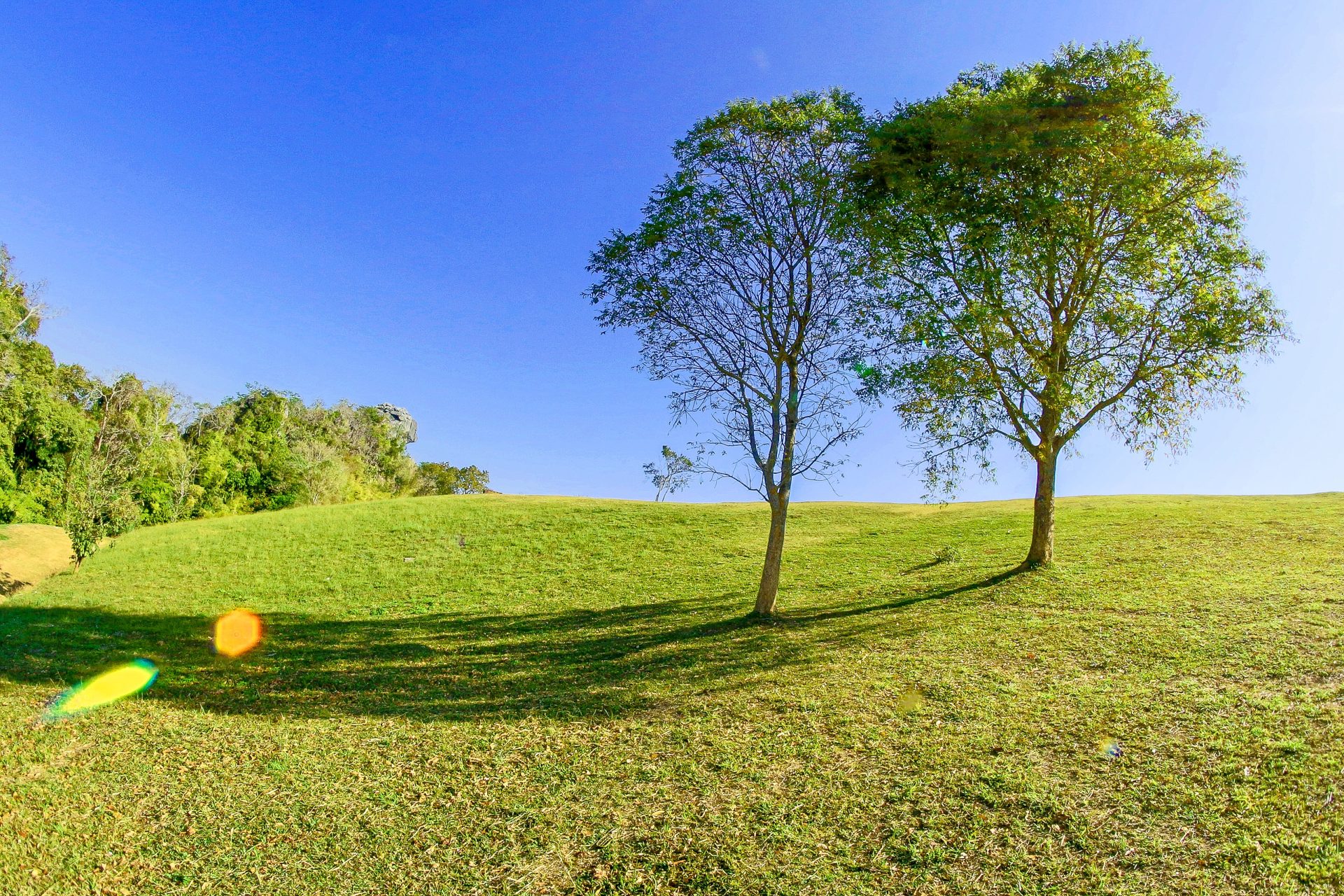 5 Tips To Find Land Good For Investment Buyer Agent Search